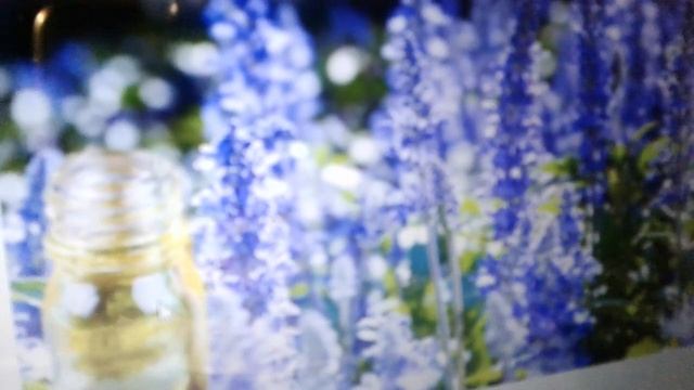 Масло иссопа: полезные свойства и применение. смотреть онлайн