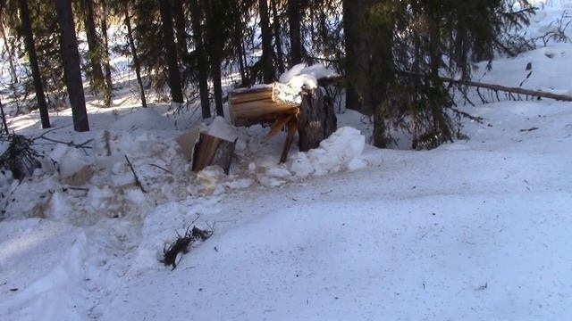 Тофалар 500 Два куба валежника