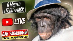 СТРИМ / Шимпанзе Боня и Дан Запашный отвечают на вопросы / Новости 09.03.2023
