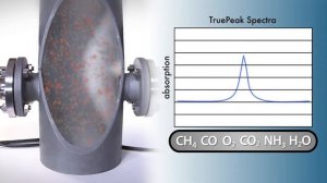 TDLS8000 - Tunable Diode Laser Spectrometer Overview