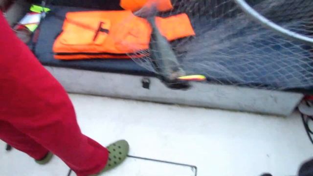 TROLLING. Онежский берег 2018 год. Ловля судака троллингом. смотреть онлайн