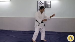 Айкидо 1 урок кыр