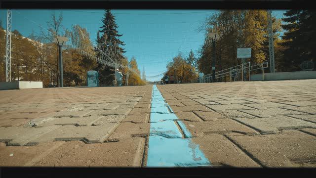 Showrel 2024 смотреть онлайн