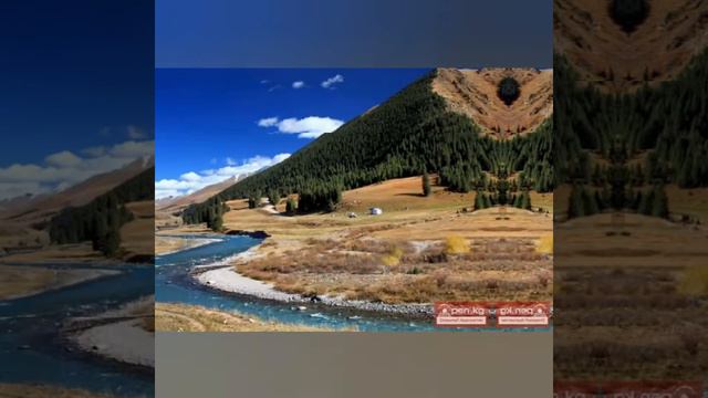 Кемин шаары смотреть онлайн