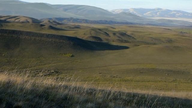 Звучание степи для отдыха, крепкого сна и медитации / Звонкие птицы и тихое стрекотание насекомых смотреть онлайн