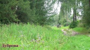 Вахтанг Кикабидзе - Родимая земля