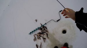 Ловля окуня на блесну зимой. СУПЕР РАЗДАЧА. Отличная рыбалка по окуню. озеро Ильмень.