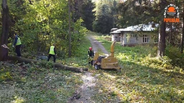 Работа измельчителя Wallenstein BTX 6224