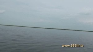 Рыбалка. Ловим щуку на лиманах. С Андреем Старковым.