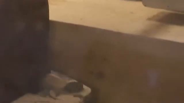 Деревянное домостроение. Профилированный брус изготовление. смотреть онлайн