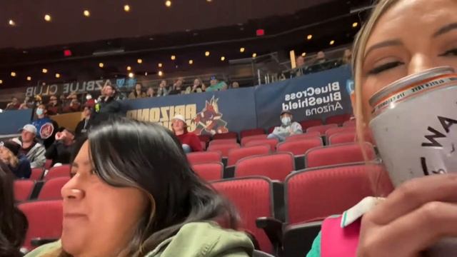 MY FIRST HOCKEY GAME - COYOTES VS AVALANCHE + LOSING LASHES AT THE CLUB~ смотреть онлайн