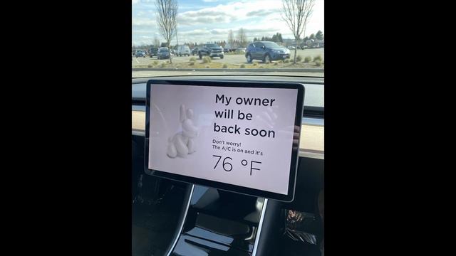 2018 Tesla Model 3 Long Range Battery Walk Around and Buyers Guide смотреть онлайн