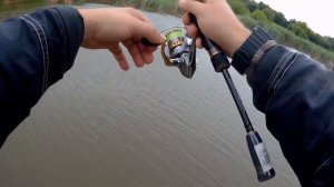 Лучшая бюджетная катушка Shimano Sedona FI 17