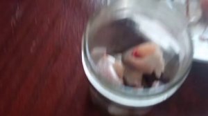 Консерва из рыбы в томатном соусе.