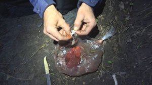 РЫБАЛКА на СОМА ЛЕТОМ!!! КАК СДЕЛАТЬ СНАСТЬ для ЛОВЛИ СОМА на ПЕЧЕНЬ и ВЫПОЛЗКА с БЕРЕГА