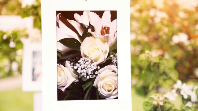 Юбилей 65 лет смотреть онлайн