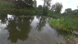 Крупная Щука!Ловля щуки на живца в сентябре...