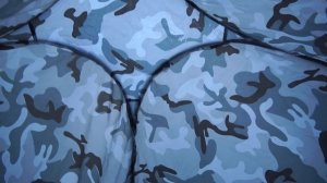 24 часа в палатке в лесу. На нас напал медведь!