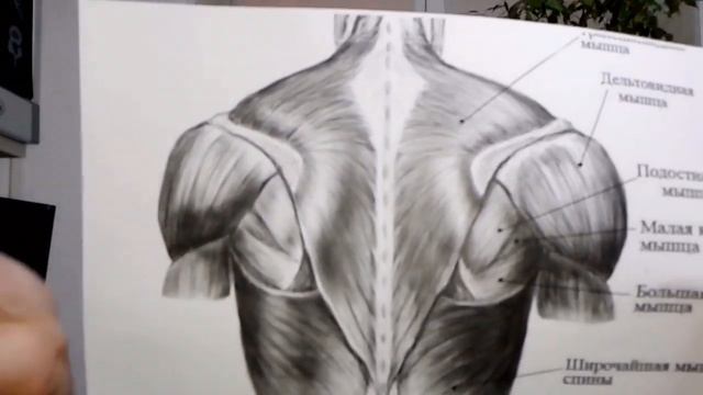 Почему болит плечо? смотреть онлайн