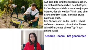 Auf dem Bild sehe ich. Описание картинки. Уровень В1.