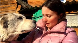 СТРОЙКА НА НОВОМ УЧАСТКЕ ПОШЛА НЕ ПО ПЛАНУ. ЗАБОЛЕЛА СОБАКА. ВКУСНЯШКИ ДЛЯ ЛОШАДЕЙ. ЖИЗНЬ В ДЕРЕВНЕ