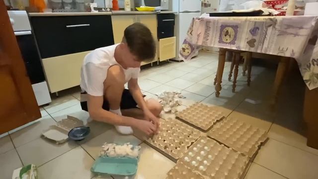 Ферма расширяется ! Открываем сезон Инкубации яиц | Завели ПЕРЕПЕЛОВ | Курочки радуют яйцом смотреть онлайн