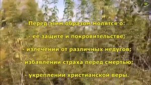 Успения Пресвятой Богородицы и Ореховый Спас.