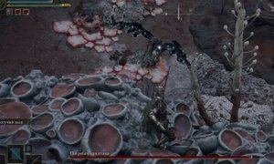 Elden Ring бой с Погребальной Птицей