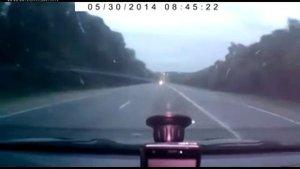 Чуть не сбил лося