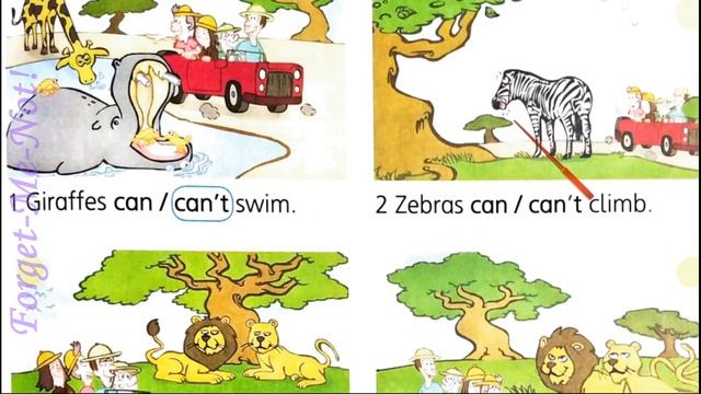 Smart Junior 2 Module 5 Animals Story Time с. 58-59,  Phonics c. 104 & Workbook✔Відеоурок