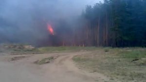 22.07.2010 Лесной пожар в Каменке (Нововоронеж),