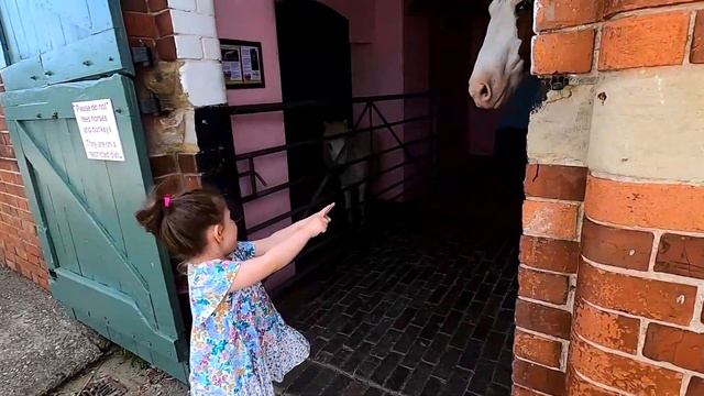 Прогулка по Ферме , и нашли много чего интересного для Детей смотреть онлайн