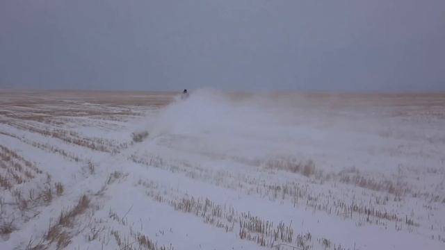 скиду скандик WT 600 смотреть онлайн