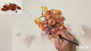 Виноград, акварель.  Марина Ласаева. #акварель #watercolor