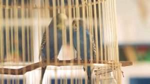 Катя Темнова на съёмках рекламы Магне B6