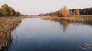 кукурузное тесто для рыбалки. Лови по Холодной Воде всю Осень Карася Карпа Леща супер насадка.
