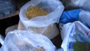 Совок для сыпучих своими руками из ПВХ бутылки – лучший помощник фермера