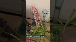 Букет из люпинов// флористика для всех