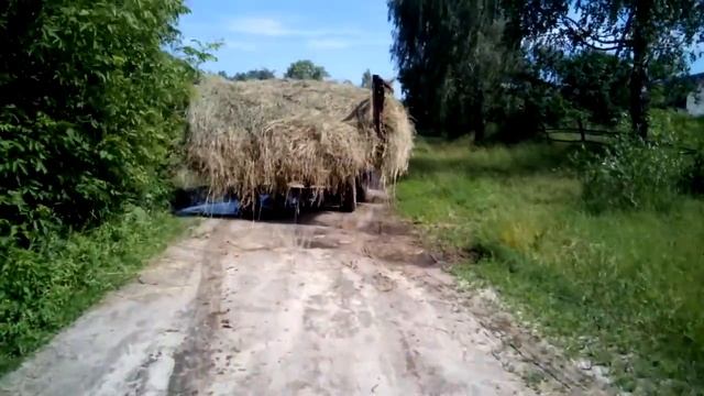 Перевозка сена трактором т-65 смотреть онлайн
