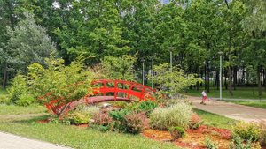 Парк Победы, Киев, левый берег: Очень красивый парк для прогулок всей семьей