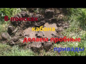 В поисках кабана. Делаем пробные привады.