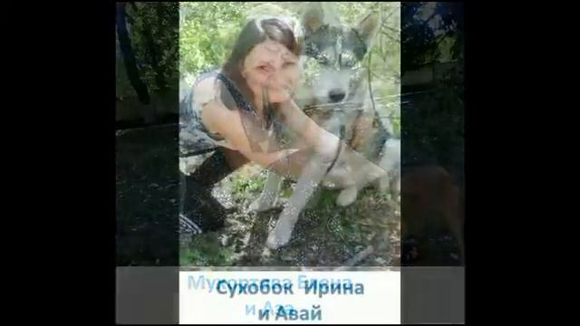 Проект "Домашние животные" пгт Дубовский смотреть онлайн