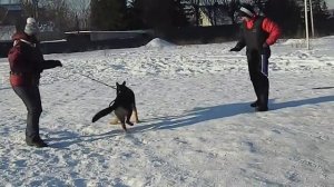 Пришвин и Д.Мищенко Смоленск