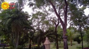 Вся информация про отель Duangjit Resort 4* (о. Пхукет, Таиланд). Полный обзор отеля!