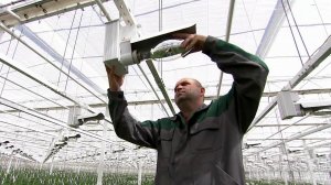 Каждый день в Россию приезжают беженцы из Донбасса и с Украины