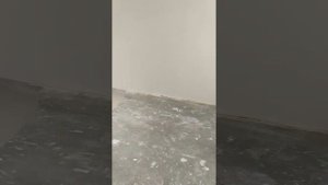 лазерный нивелир Bosch GSL 2 Professional