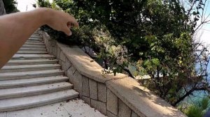 ? Ласточкино Гнездо Крым. Замок Ласточкино Гнездо Гаспра, Крым. Интересные факты. #ЛасточкиноГнездо