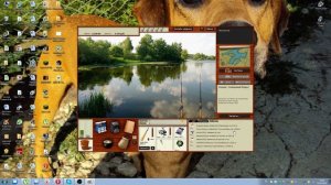 как ловить толстолобиков в игре русская рыбалка 3.99