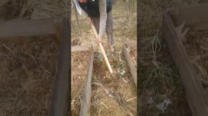 Плоскорез Фокина - уникальный инструмент