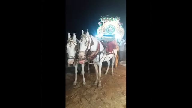 Master dayadeen bhagat g safed ghori baggi wale смотреть онлайн